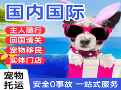 查干湖机场托运国际宠物托运 【国
